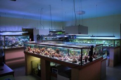 Killikus&reg; Fotographie